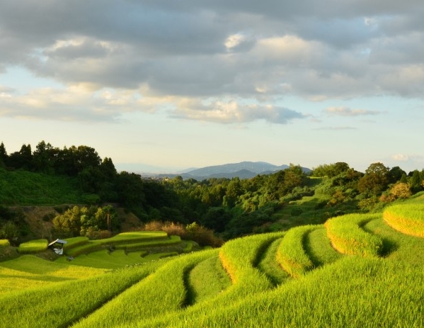 合伙的生意为什么难做