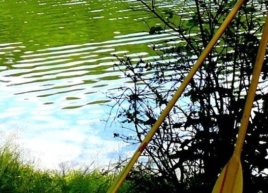 生意加盟项目火爆挣钱