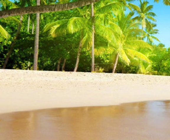 代购赚钱案例新闻