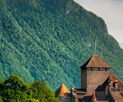 南开墨尔本项目