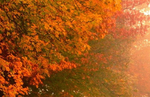 员工赚钱方法视频教学大全