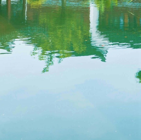 浙江炒币赚钱案例