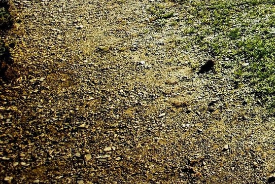 合伙做生意55分怎么算