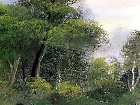 鸭司令创业成功案例