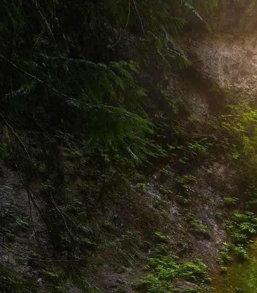 抖音外卖赚钱原理是什么