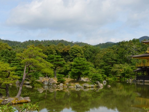 赚钱项目小游戏