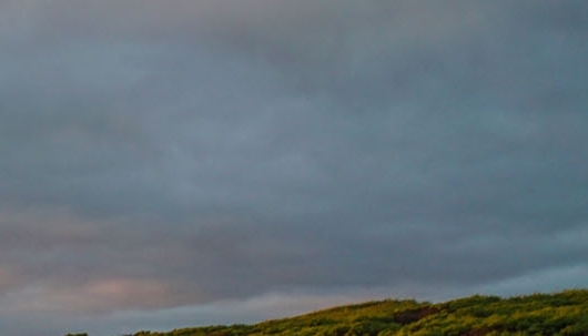 成功邀约案例杨过