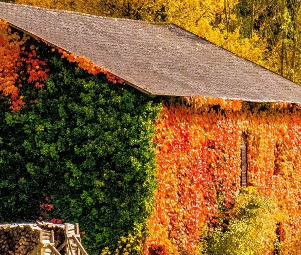 老板靠员工赚钱