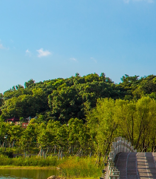 车库有哪些风格