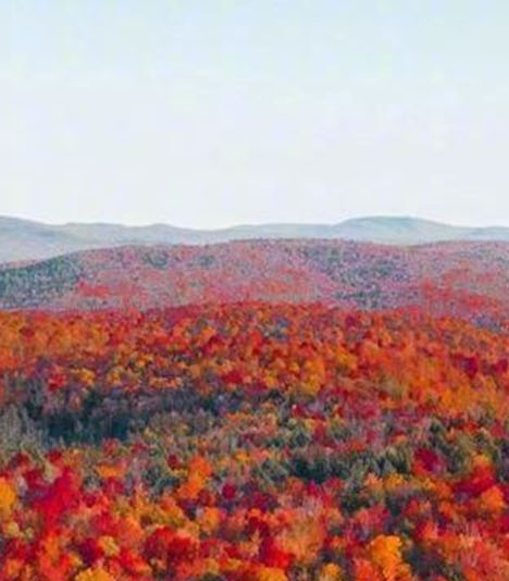 公园创意广告文案