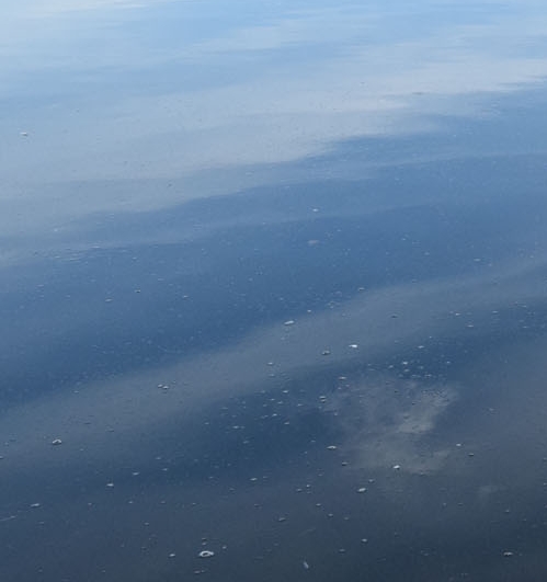 目前最赚钱的项目是什么