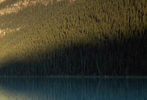 中国人在澳大利亚做什么生意