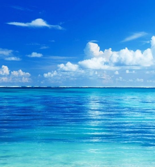 男子合伙做项目赚钱不赚钱