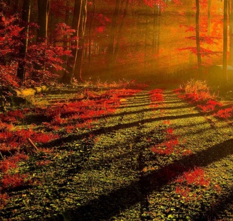 车库创业赚钱案例