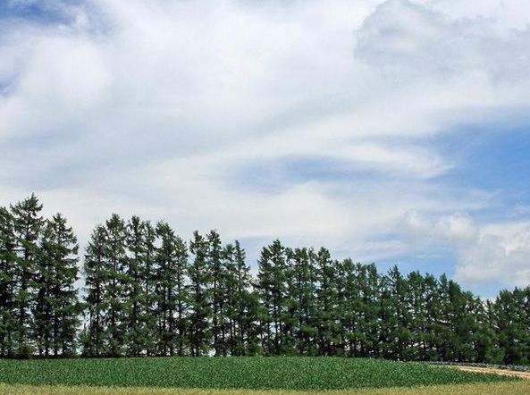 15元小吃赚钱案例