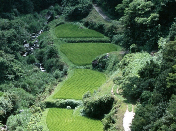 有没有什么正规可以快速赚钱的方法