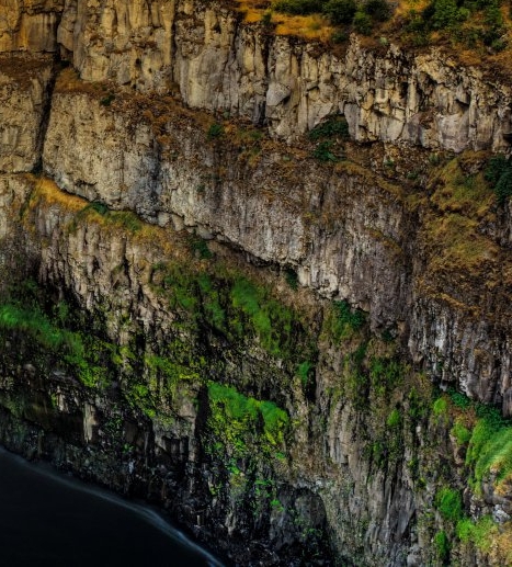 海岛可以发展哪些项目赚钱