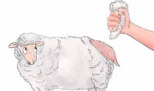 薅羊毛?可矩阵!单个账号60元!