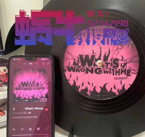 月入5W！小红书音乐赛道项目，每天只需操作半小时