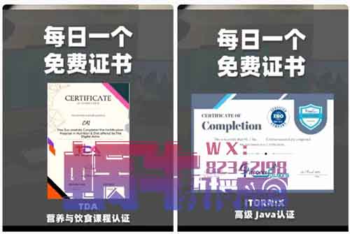 【月入过万】每日一个免费证书项目实操解密,简单上手易变现!