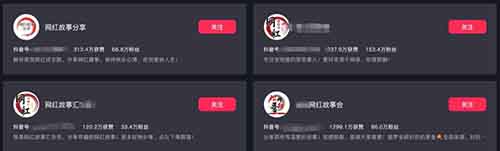 网红成长故事分享冷门赛道，每天稳定变现，￥300~800/单