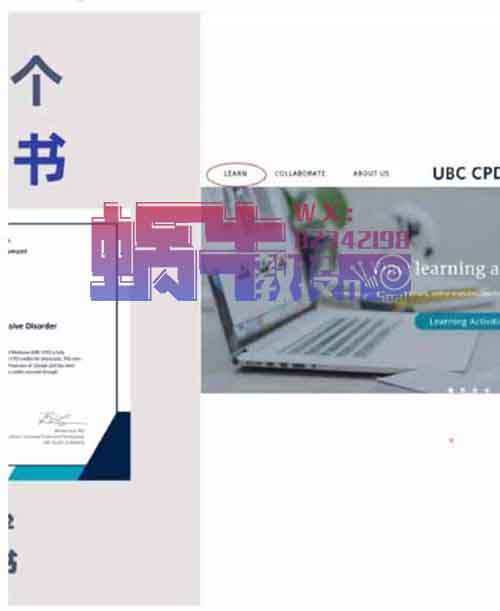 【月入过万】每日一个免费证书项目实操解密,简单上手易变现!