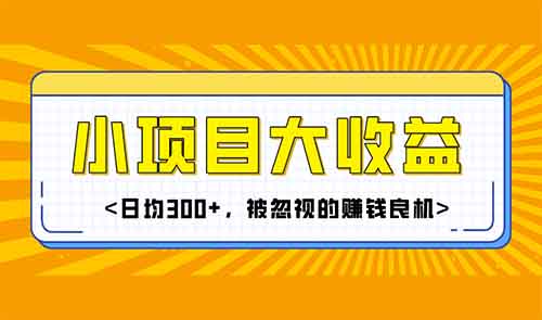 小项目大收益：日均300+，被忽视的赚钱良机