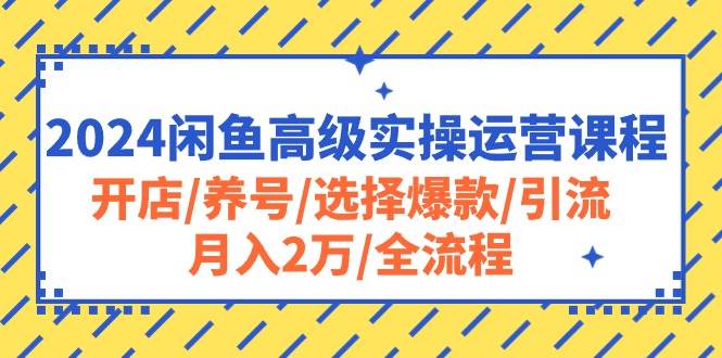 2024闲鱼高级实操运营课程:开店/养号/选择爆款/引流/月入2万/全流程 2024闲鱼高级实操运营课程:开店/养号/选择爆款/引流/月入2万/全流程