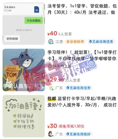 闲鱼上卖监督打卡服务，零成本一天赚百元