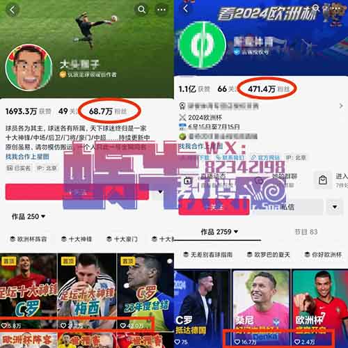 欧洲杯开赛,流量风口赚钱项目,抓住就是躺赚!