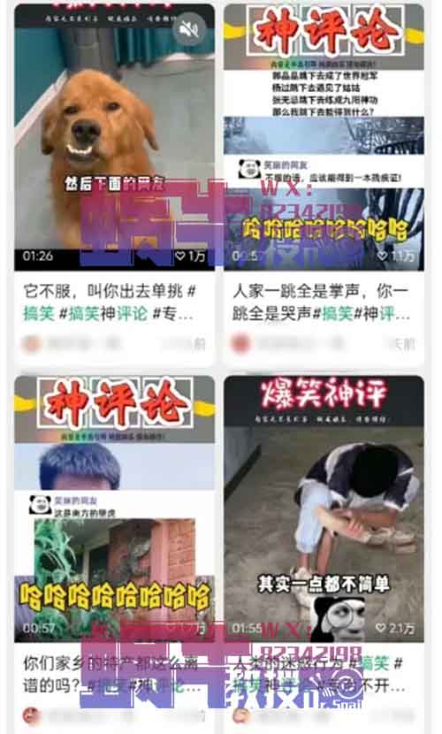 流量新风口的神评论玩法，零门槛操作，深耕会有意想不到的收获！