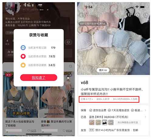 女大学生小红书开店卖内衣，3个月卖了250多万