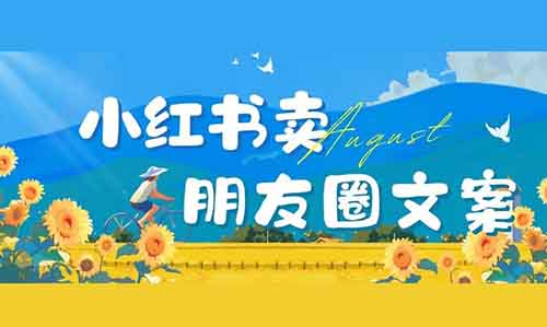 朋友圈刚需,在小红书卖朋友圈文案,49一单,卖了800多单