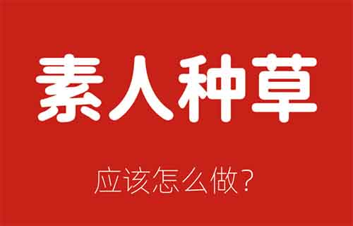 一部手机，用了这个方法，一天收入360+（附番茄小说种草好书教程）