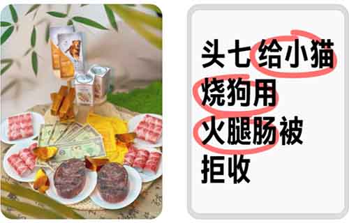 小红书上,给宠物烧纸钱行业,闷声发财