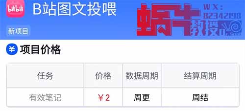 两个小项目，小红书10元一篇笔记，B站2元，每天可以领低保！