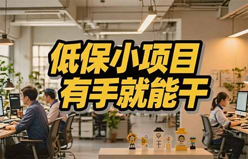 两个小项目，小红书10元一篇笔记，B站2元，每天可以领低保！