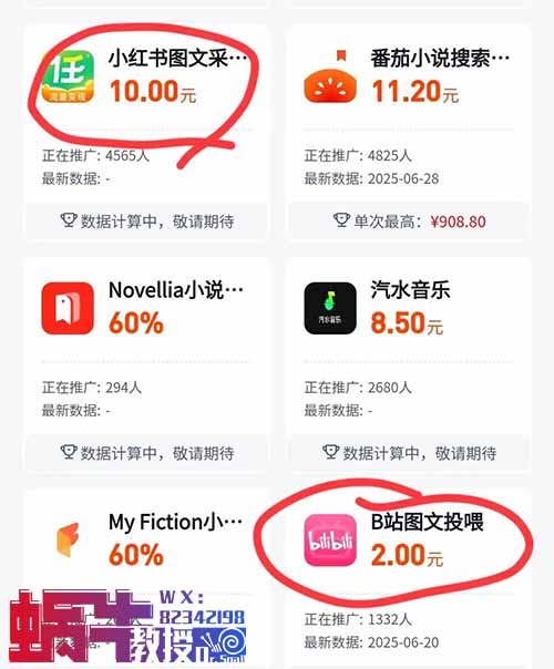两个小项目，小红书10元一篇笔记，B站2元，每天可以领低保！