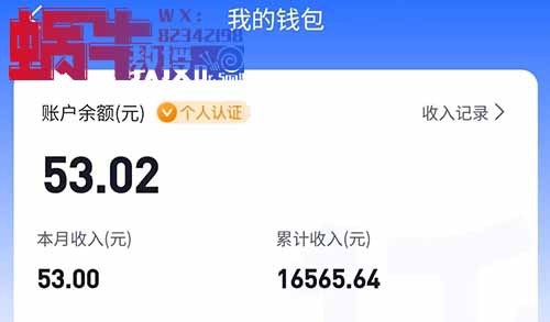 两个小项目，小红书10元一篇笔记，B站2元，每天可以领低保！