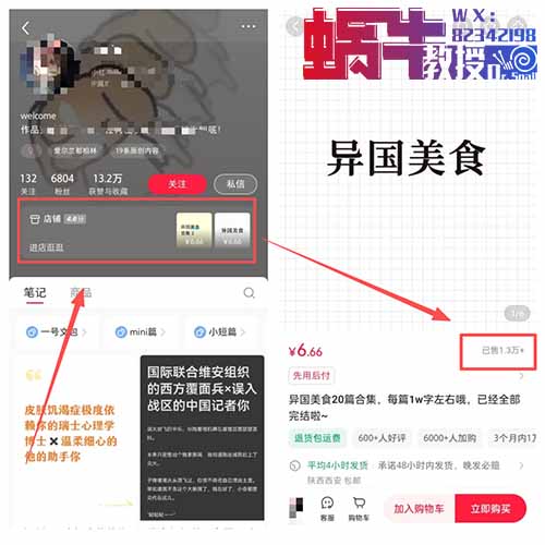 靠搬运外国小说，他在小红书赚了8万多！