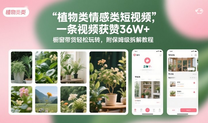 植物类情感类短视频,一条视频获赞36W+,橱窗带货轻松玩转,附保姆级拆解教程 植物类情感类短视频,一条视频获赞36W+,橱窗带货轻松玩转,附保姆级拆解教程