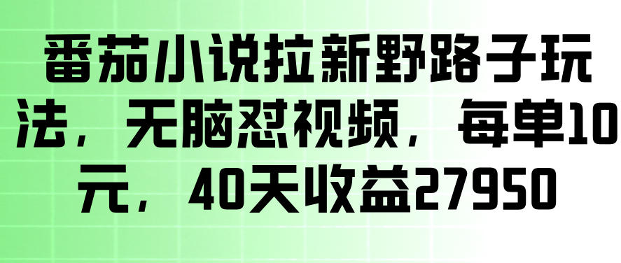番茄小说拉新野路子玩法,无脑怼视频,玩法简单、见效快,每单10米,40天收益27950 番茄小说拉新野路子玩法,无脑怼视频,玩法简单、见效快,每单10米,40天收益27950