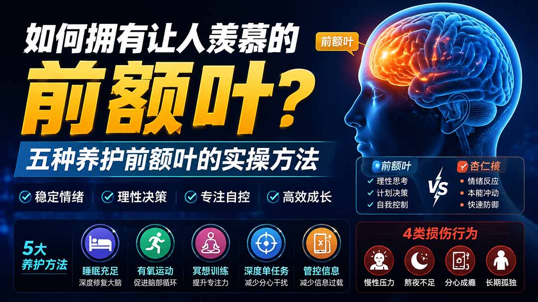 (19805期)付费文章:如何拥有让人羡慕的前额叶?五种养护前额叶的实操方法 (19805期)付费文章:如何拥有让人羡慕的前额叶?五种养护前额叶的实操方法