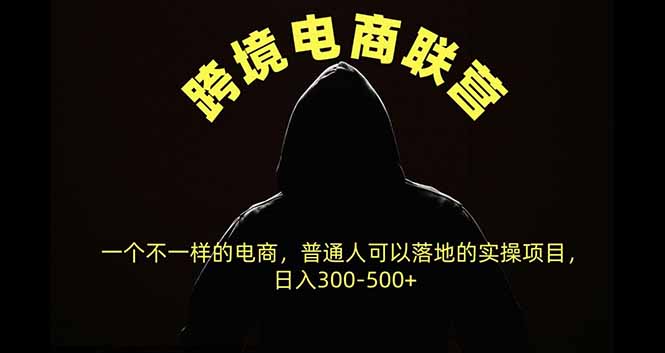 (20702期)跨境电商联营,一个不一样的电商,普通人可操作日入300-500+ (20702期)跨境电商联营,一个不一样的电商,普通人可操作日入300-500+